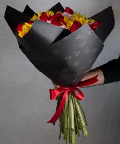 IMG 2740 scaled e1714774444403